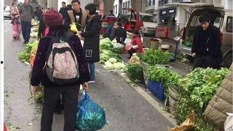 半山小镇爆料最新消息视频,揭秘神秘视频背后的惊人真相